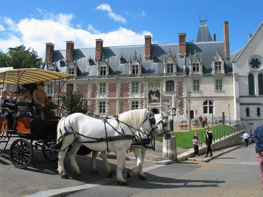 Blois City - Le Petit Louis XII Exteriör bild